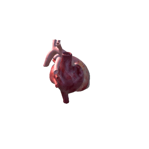 realistic heart animated